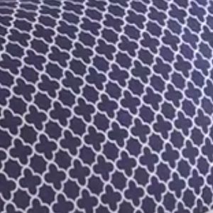 Meet your Posher, Shawnna